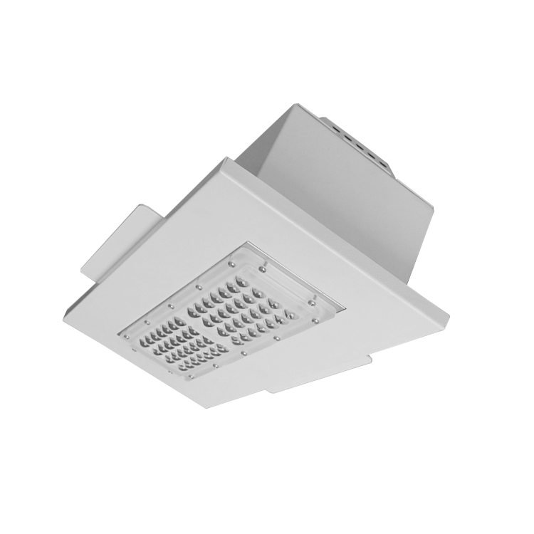 LED Canopy Light